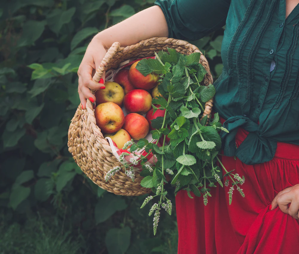 A woman carrying a basket of apples and fresh herbs through a garden